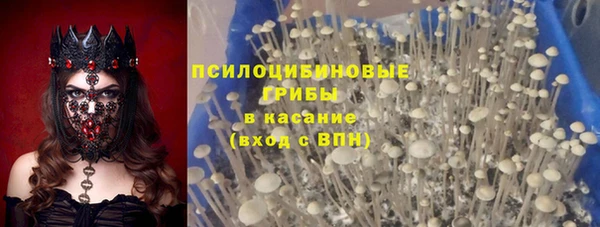 спайс Няндома