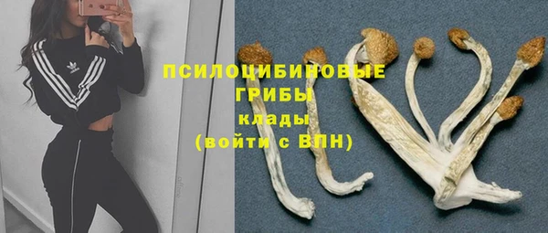бошки Нягань