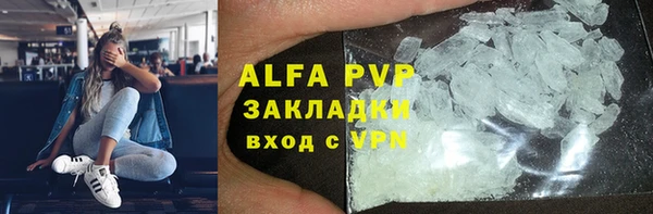 молекула духа Дубовка