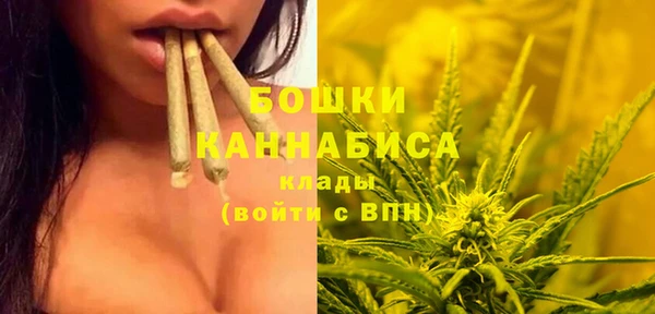 молекула духа Дубовка