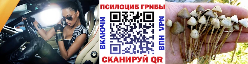 Псилоцибиновые грибы мицелий Остров