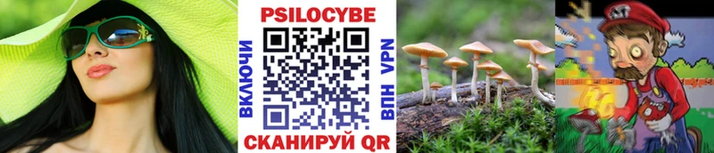 даркнет сайт  Остров  Галлюциногенные грибы Psilocybine cubensis 